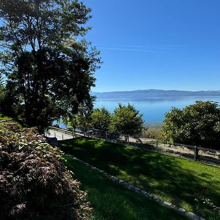 Apartment Villa Balevski Ohrid Bagian luar foto