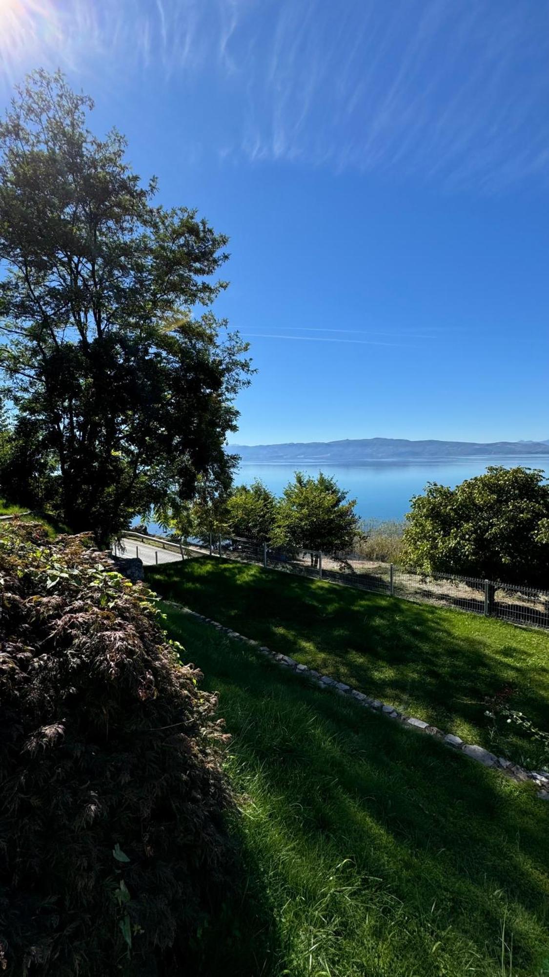Apartment Villa Balevski Ohrid Bagian luar foto